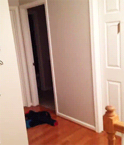 Badass Checks 3 A successful, yet stupid way to kick in a door